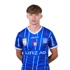 Player cutout