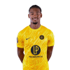 Player cutout