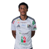 Player cutout