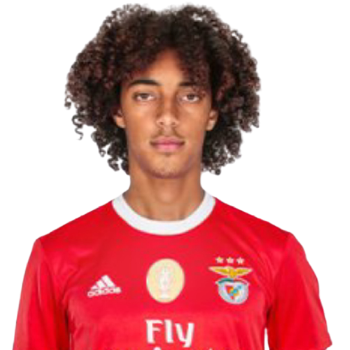 Tomas Tavares profile image