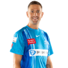 Player cutout
