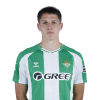 Player cutout