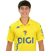 Player cutout