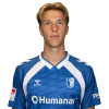 Player cutout
