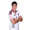 Player cutout