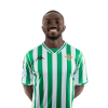 Player cutout