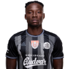 Player cutout