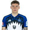 Player cutout