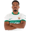 Player cutout