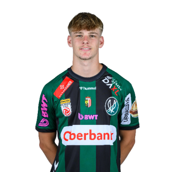Nevio Zotz profile image