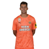Player cutout