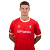 Player cutout
