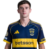 Player cutout