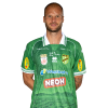 Player cutout