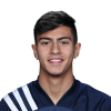 Player cutout
