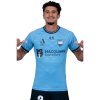 Player cutout