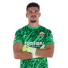 Player cutout