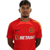 Player cutout