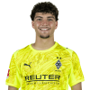 Player cutout