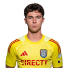 Player cutout