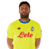 Player cutout