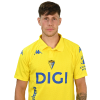 Player cutout