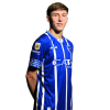 Player cutout