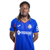 Player cutout