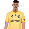 Player cutout