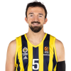 Player cutout