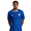 Player cutout