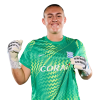 Player cutout