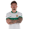 Player cutout
