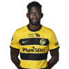 Player cutout