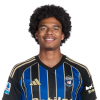 Player cutout