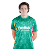 Player cutout