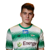 Player cutout