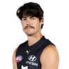 Player cutout