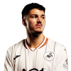 Player cutout
