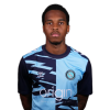 Player cutout