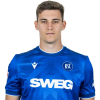 Player cutout