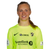 Player cutout