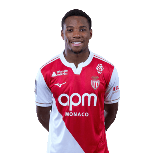 스탠이지이드부무