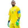 Player cutout