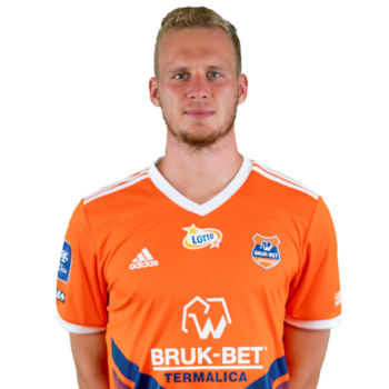 Wiktor Biedrzycki profile image