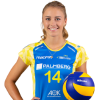 Player cutout