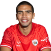 Player cutout