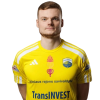 Player cutout