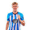 Player cutout