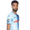 Player cutout